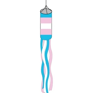 Transgender Windsock
