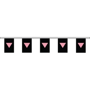 Pink Triangle 60' Streamer