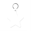 Star Key Tag with Split Ring Keychain | https://www.bestnamebadges.com