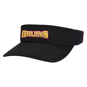 Optic Visor 