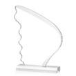 Acheson VividPrint™ Award | https://www.bestnamebadges.com