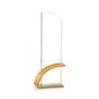 Barton VividPrint™ Award - Gold | https://www.bestnamebadges.com