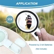 30X Magnifying Glass With Led Light | https://www.bestnamebadges.com