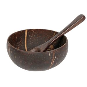 Natural Coconut Shell Bowl