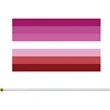 Mini Handheld Rainbow Pride Flag | https://www.bestnamebadges.com