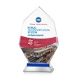 Nebraska VividPrint™ Award - Blue | https://www.bestnamebadges.com