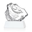 Ottavia 2 Dolphins Award | https://www.bestnamebadges.com