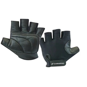 Padded Catcher's Glove