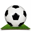 Custom Soccer Ball | https://www.bestnamebadges.com