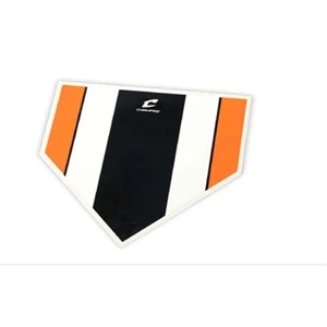 The Zone Training Home Plate