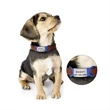 Silicone Dog Id Tag | https://www.bestnamebadges.com