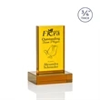 Hathaway Award - Amber | https://www.bestnamebadges.com