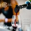 2 In 1 Design  Reusable Wine Stopper Pourer | https://www.bestnamebadges.com