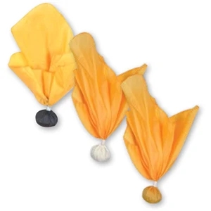 Weighted Referee Penalty Flag