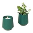 Modern Sprout® Rooted Candle | https://www.bestnamebadges.com
