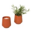 Modern Sprout® Rooted Candle | https://www.bestnamebadges.com