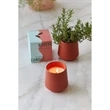 Modern Sprout® Rooted Candle | https://www.bestnamebadges.com