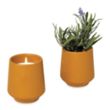 Modern Sprout® Rooted Candle | https://www.bestnamebadges.com