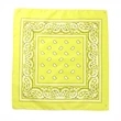 Multi-Purpose Bandanas Paisley Cowboy Polyester Headbands | https://www.bestnamebadges.com