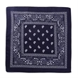 Multi-Purpose Bandanas Paisley Cowboy Polyester Headbands | https://www.bestnamebadges.com