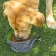 Portable Outdoor Collapsible Dog Bowls | https://www.bestnamebadges.com