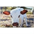 Sublimated Rug  (20" x 31.5") | https://www.bestnamebadges.com