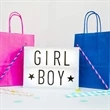 Colorful Paper Gift Bags | https://www.bestnamebadges.com