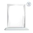 Messina VividPrint™ Award - White | https://www.bestnamebadges.com