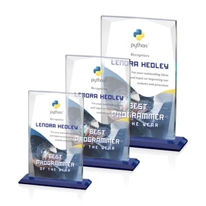 Arianna VividPrint™ Award | https://www.bestnamebadges.com