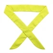 Neck Cooler Ice Pack Scarf | https://www.bestnamebadges.com