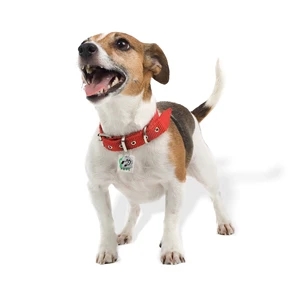 Pet Tag Silencer | https://www.bestnamebadges.com