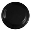 Garyline® 9" Flyer | https://www.bestnamebadges.com