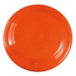 Garyline® 9" Flyer | https://www.bestnamebadges.com