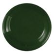 Garyline® 9" Flyer | https://www.bestnamebadges.com