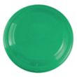 Garyline® 9" Flyer | https://www.bestnamebadges.com