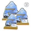 Dunwich VividPrint™ Award - Amber | https://www.bestnamebadges.com