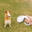 Retractable Pet Leash Traction | https://www.bestnamebadges.com