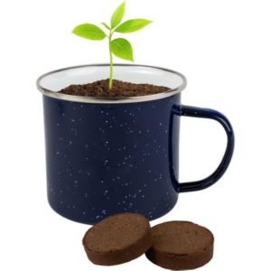 SIP N Seed Grow Kit