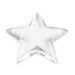 Savoy Star Paperweight | https://www.bestnamebadges.com
