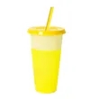 Reusable Color Changing Plastic Cups W/Lid And Straws | https://www.bestnamebadges.com