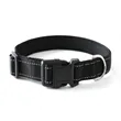 Reflective Dog Collar | https://www.bestnamebadges.com