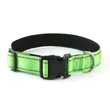 Reflective Dog Collar | https://www.bestnamebadges.com