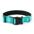 Reflective Dog Collar | https://www.bestnamebadges.com