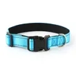 Reflective Dog Collar | https://www.bestnamebadges.com