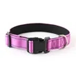 Reflective Dog Collar | https://www.bestnamebadges.com
