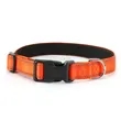 Reflective Dog Collar | https://www.bestnamebadges.com