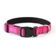 Reflective Dog Collar | https://www.bestnamebadges.com