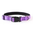 Reflective Dog Collar | https://www.bestnamebadges.com