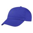 Price Buster Cap | https://www.bestnamebadges.com