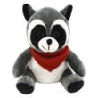 6" Rocco Racoon | https://www.bestnamebadges.com